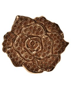 P06298